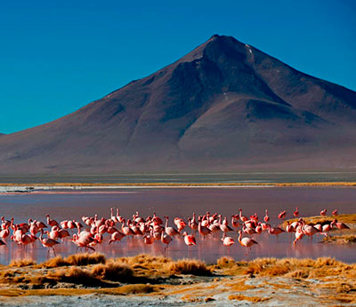 Peru and Bolivia Machu Picchu to the Salt Flats