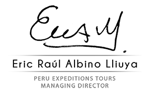 Peru Expeditions logo