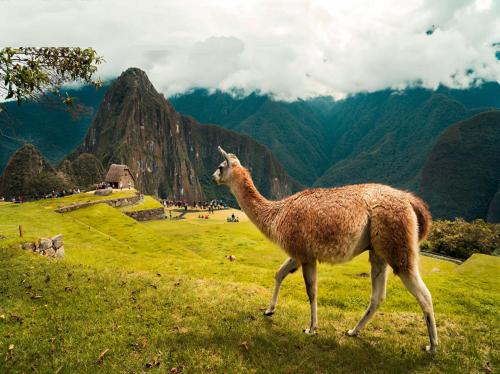 Special Inca Trail