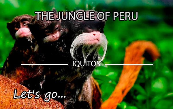 Excursion to the heart of the Peruvian Jungle - Iquitos